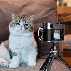 Fotopro SY-390+P 1HX  Masa Tripodu