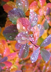 Beyjet 260Gr 10X15 İnkjet Fotograf Fağıdı parlak